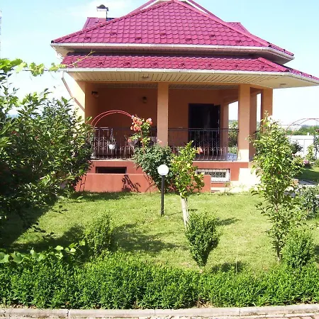 злоторія Mukacheve